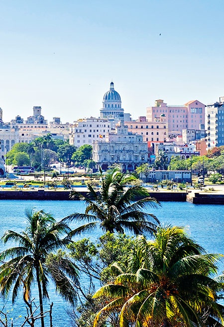 Advent - Havanna Plus